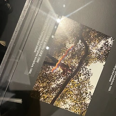 코리아 제체시온 ‘물방울 씨 김창열’ 썸네일