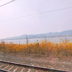 여행을 떠나요. 썸네일