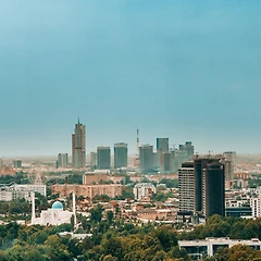 고려인 디아스포라의 역할: 썸네일