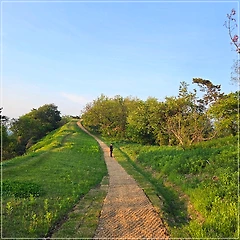 너무 흔해빠져도 아픈 건 아프다  썸네일