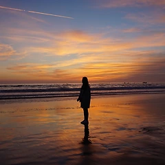 미국 여행 중 교수님의 부름을 받다 썸네일