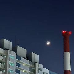 별먼지의 시간 썸네일