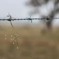 웹페이지 전체 캡처하기 썸네일