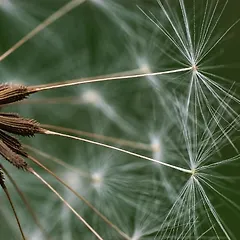 소프트웨어 버튼 사용하기 썸네일