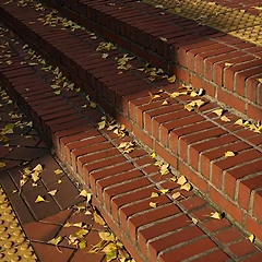 순례자는 감사한다 썸네일