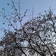 거꾸로 걸려있는 액자 속 그리움 썸네일