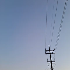 타자는 실체가 아닌 현상 썸네일