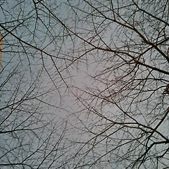 고통을 지우는 유일한 방법 썸네일