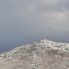 실망스럽지 않은 헤매임 썸네일