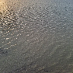 하고 싶은 걸 하고 싶다고 썸네일