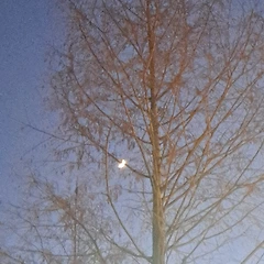 괄호 같은 날 썸네일