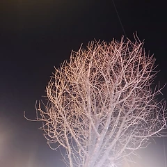 사람 속 사람 사이에서 사는 썸네일