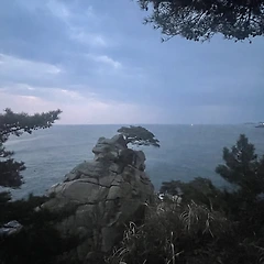 22. 다시, 시작 썸네일