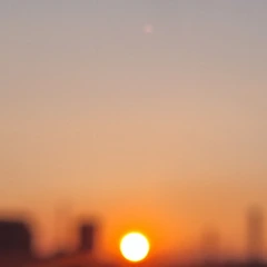 내가 궁금한 것들  썸네일