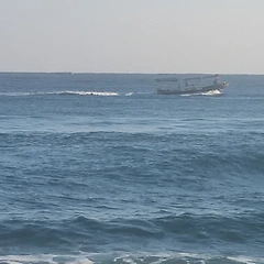 우리를 초라하게 하는 것들  썸네일