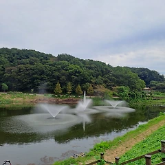 다윈에게 묻고 싶은 세 가지 질문  썸네일