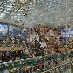 개화시기 썸네일