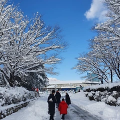 내 새끼가 귀하면  남의 새끼도 귀한 법 썸네일