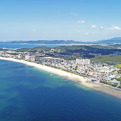 【숲의 詩 표정】 썸네일