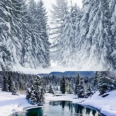 음악이 있는 브런치타임  썸네일