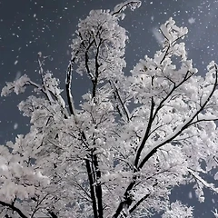 산들바람 썸네일