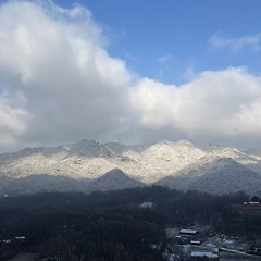 멀리 내다보지 않는 것의 현명함 썸네일