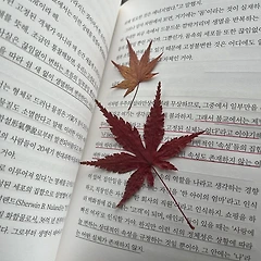 작은 행운들을 발견하다 보면 썸네일