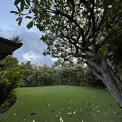 내가 생각하는 것만을 보게 된다 썸네일