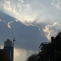 복잡하게 산다고 나아지는 삶인가 썸네일