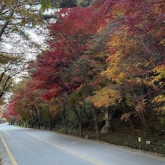 차근차근 올라가다 썸네일