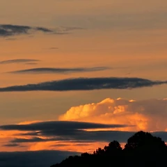 깨진 조각이 모은 세계 썸네일