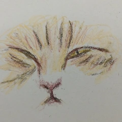 강박적 읽기 썸네일