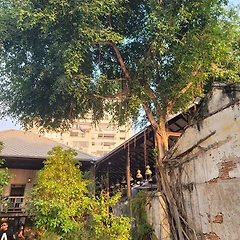 빈티지 태국 썸네일