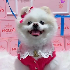 증멍사진 썸네일