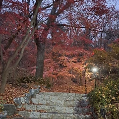명문대 수시 논술 합격 썸네일