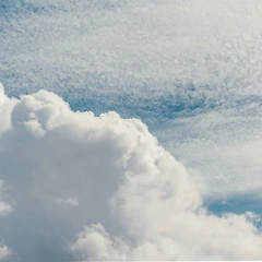 1 Day 오늘 하늘 봤어? 썸네일