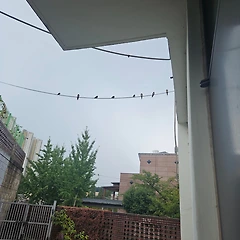 매일 읽고 쓰고 달립니다. 썸네일