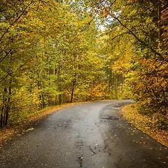 소란스러운 여름을 지나 썸네일