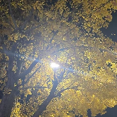 수능 뒤,부모의 밤 썸네일