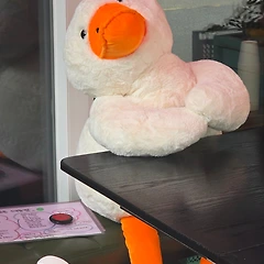 바보들의 가장 큰 문제 썸네일