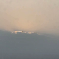 주름의 형태 썸네일