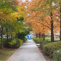 일기장에게 썸네일