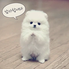 운을 여는 법 썸네일