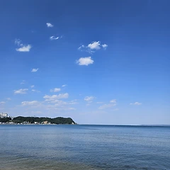 너의 침묵 썸네일