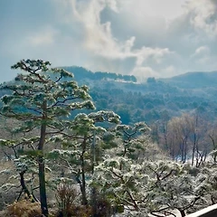 나는 왜 AI와 대화를 한 것인가 썸네일