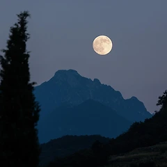 '동지, 동짓날' 썸네일