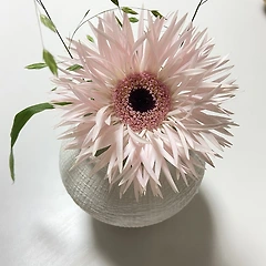 (나이) x0.8세의 라이프스타일로 살아봐요! 썸네일