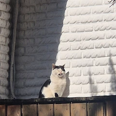 앞으로의 숙제는... 다이어트입니다. 썸네일