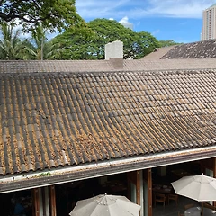 과거는 잊혀질 뿐 수정되지 않는다 썸네일