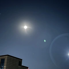 뜻밖에 산불이 남긴 상처 썸네일